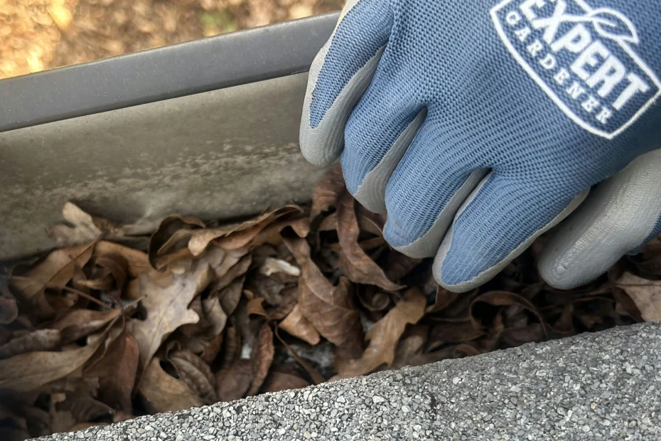 Gutter Cleaning Harrison AR