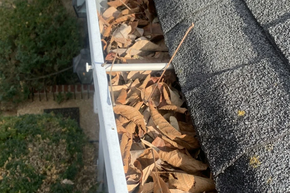 Gutter Cleaning Harrison AR