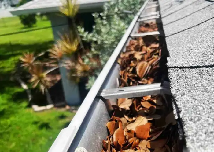 Gutter Cleaning Harrison AR home page